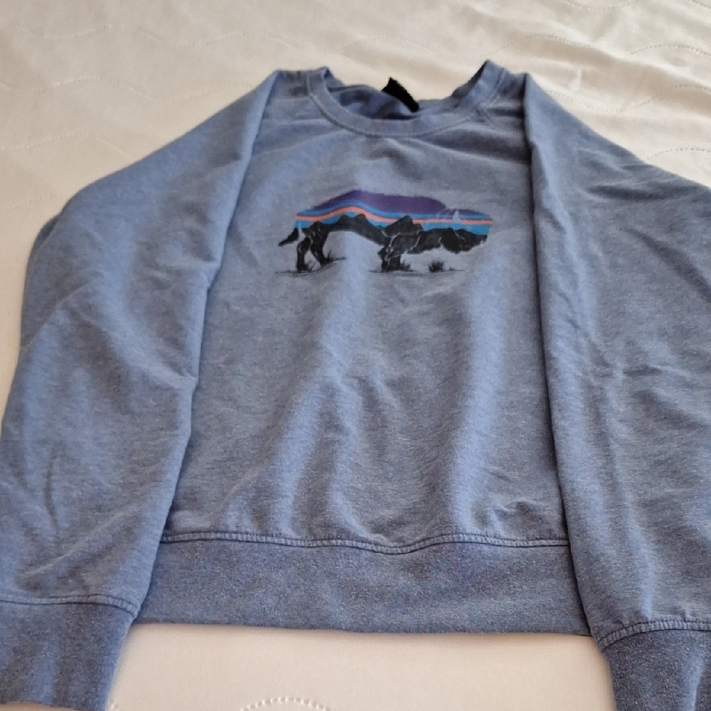 Patagonia blue sweatshirt with buffalo design